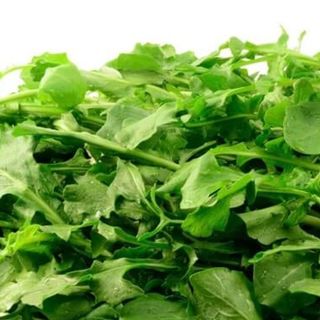 Cicoria di Campo Capata - 600gr