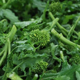 Broccoletti Capati - 600gr