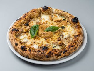Porco tarallo