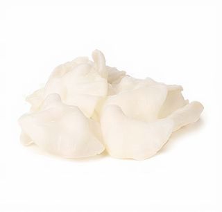 109. Nuvole di gambero