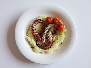 Polpo alla griglia su crema di patate e pesto di rucola