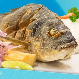 ORATA FRITA
