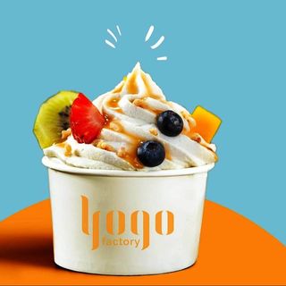 Yogo vaschetta grande 1kg