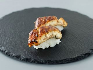 91 Nigiri anguilla
