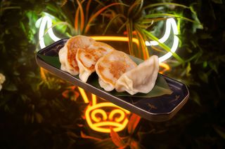 87.Ravioli di carne alla piastra 4pz