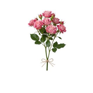 Roselline grappolo sfumata rosa/fuxia