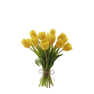 Tulipani gialli - 10 pezzi