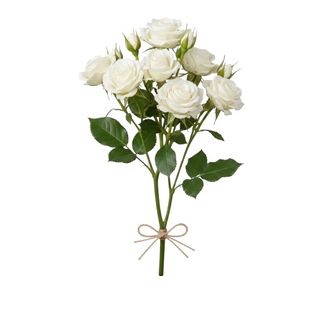 Roselline grappolo bianche