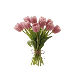 Tulipani rosa/fuxia - 10 pezzi