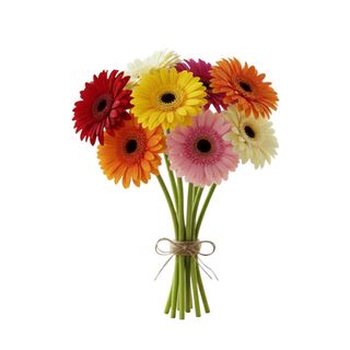 GERBERE MIX COLOR MAZZO DA 7 PZ.