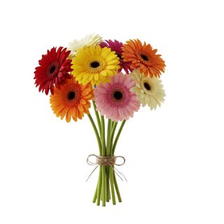 GERBERE MIZ COLOR MAZZO DA 12 PZ.