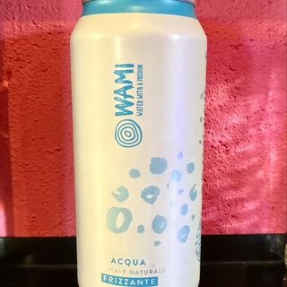Acqua minerale wami 50cl frizzante