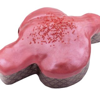 Colomba Cioccolato e Lampone- 500 gr