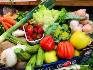 Cassetta dell'Orto PLUS con 6 Uova