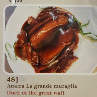 48. Anatra La Grande Muraglia