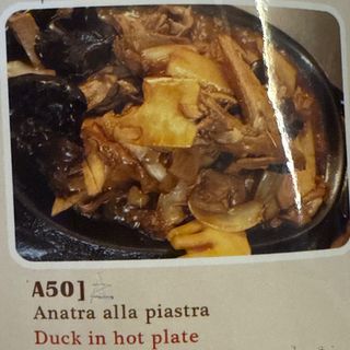 A50. Anatra alla piastra