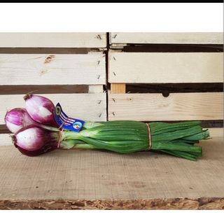 Cipollotto Tropea un mazzo