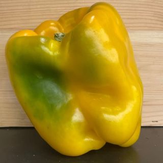 Peperone giallo al kg