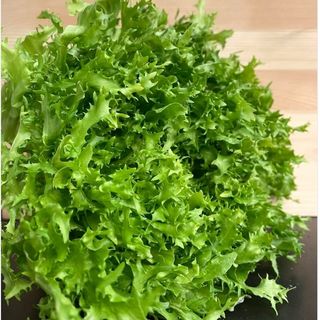 Indivia riccia al kg