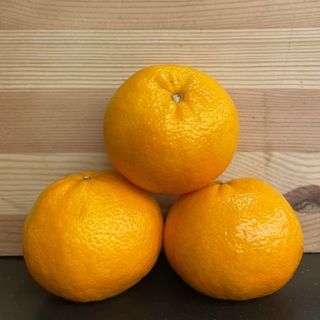 Orri ( clementine )