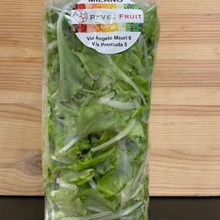 Lattughino verde 100 gr circa 