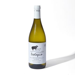 Vino Bianco Biologico 