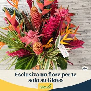 Bouquet Tropic Ecuador