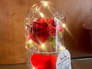 Rosa in campana di vetro illuminato