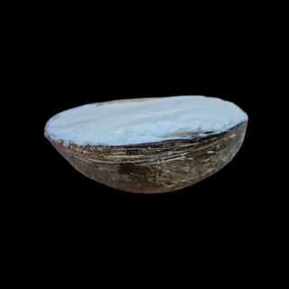 Cocco ripieno