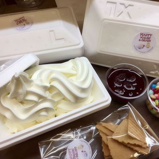 Vaschetta di Yogurt 400gr