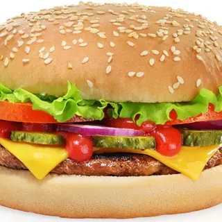 pani hamgurger