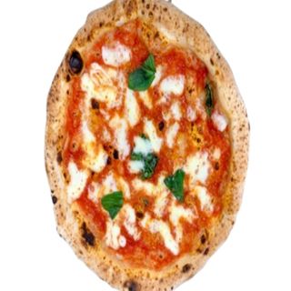 pizza margherita