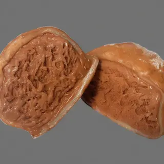 Mochi cream ganashe al cioccolato 