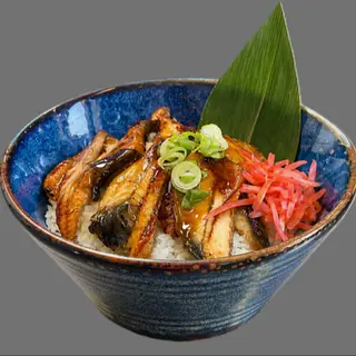 Unagi-Don