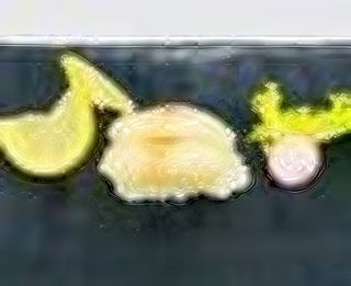 S04. Nigiri aka 2 pezzi