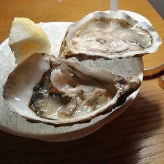 Ostrica St Vaast Normandia