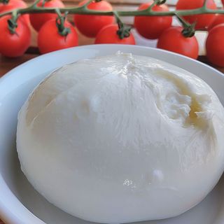 Balanzone
