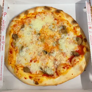 Funghi