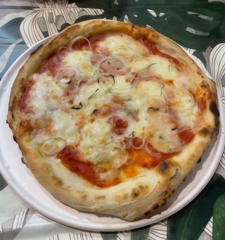 Gorgonzola e cipolla maxi