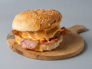 Hamburger succulent menu CodArt 67
