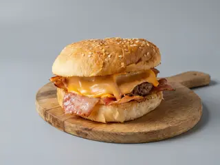 Hamburger succulent singolo CodArt 66