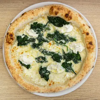 Braccio di ferro