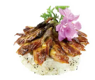 41 - Chirashi unagi