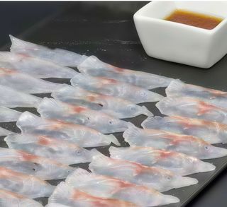 402 - Carpaccio di branzino