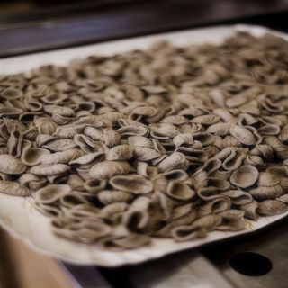 Orecchiette di grano arso cime di rapa