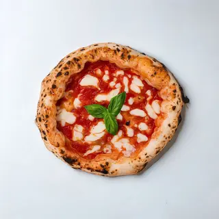 Margherita baby