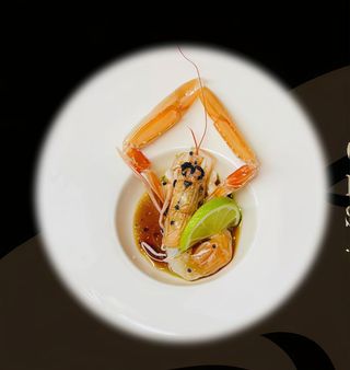 003 Fushion scampi