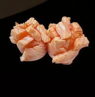 059 Gunkan sakura