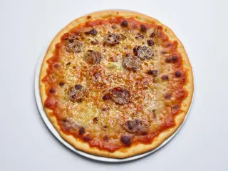 Sarda