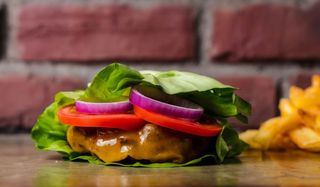 Protein cheese burger con fries (gluten free)